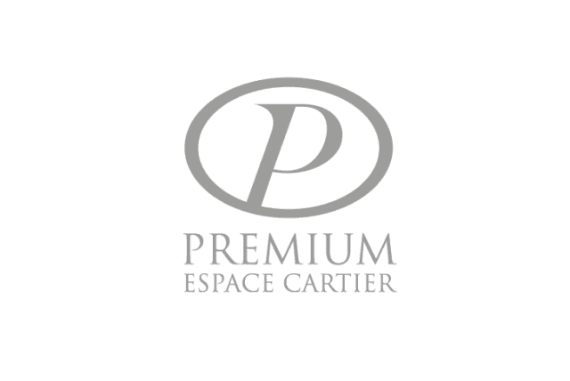 creation logo premium